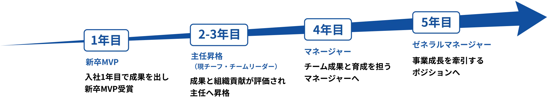 キャリアフロー 1年目〜5年目